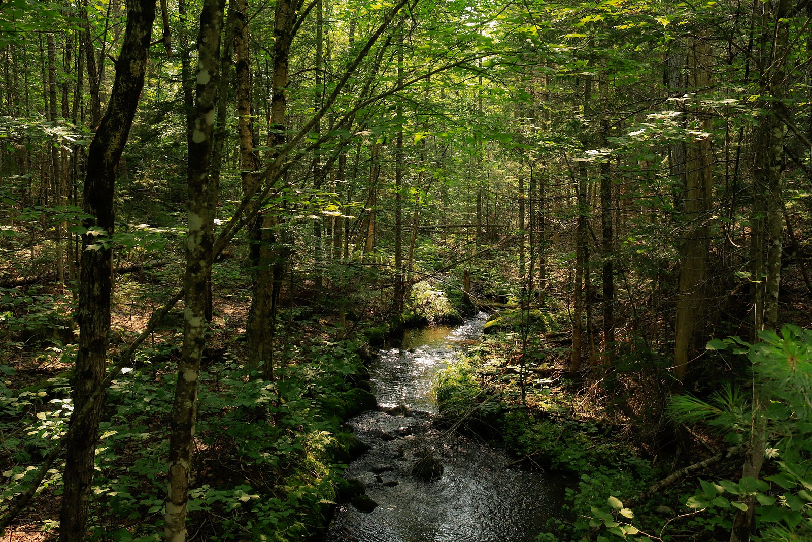 Orin Falls waterfall