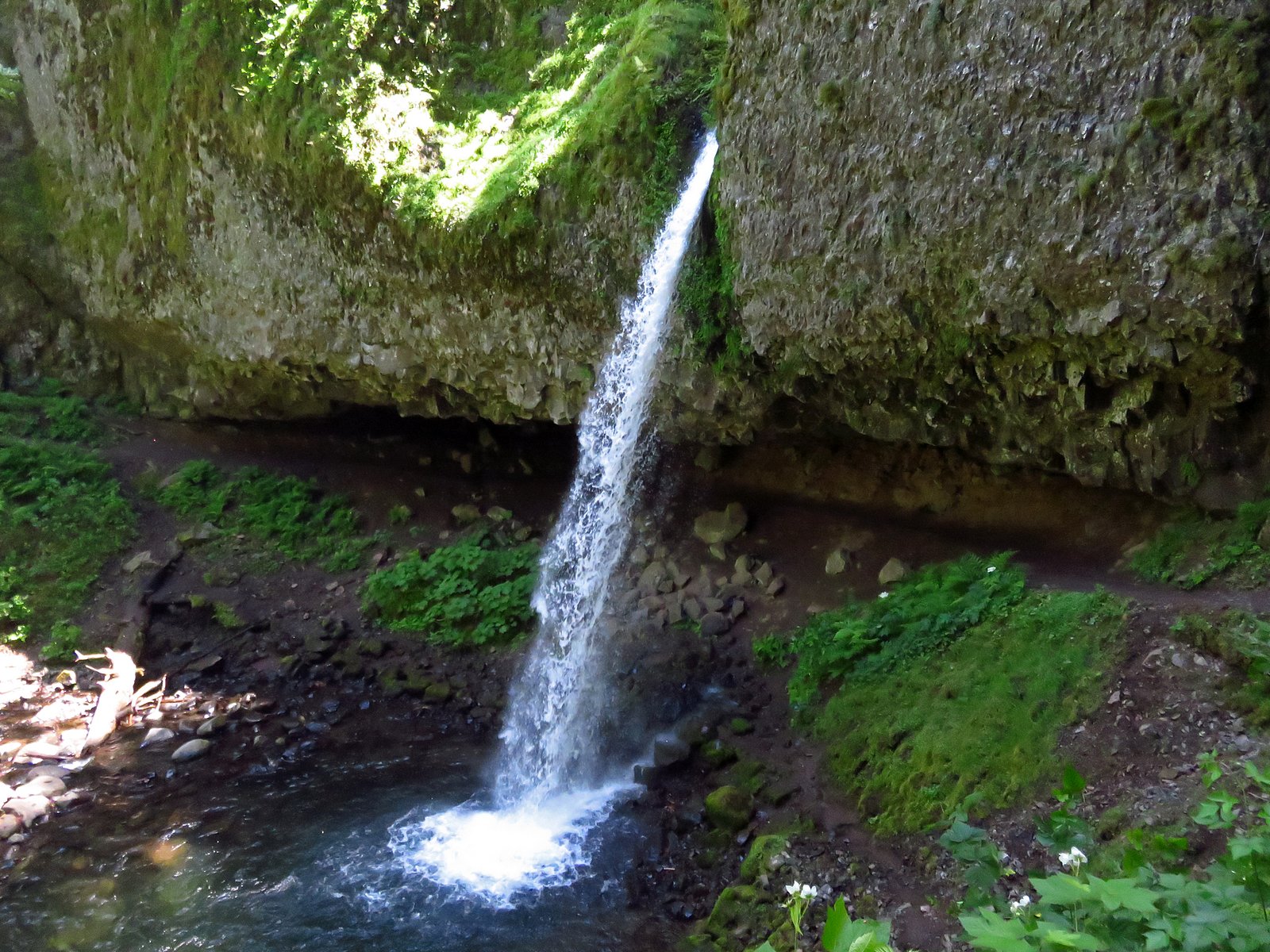Ponytail Falls waterfall
