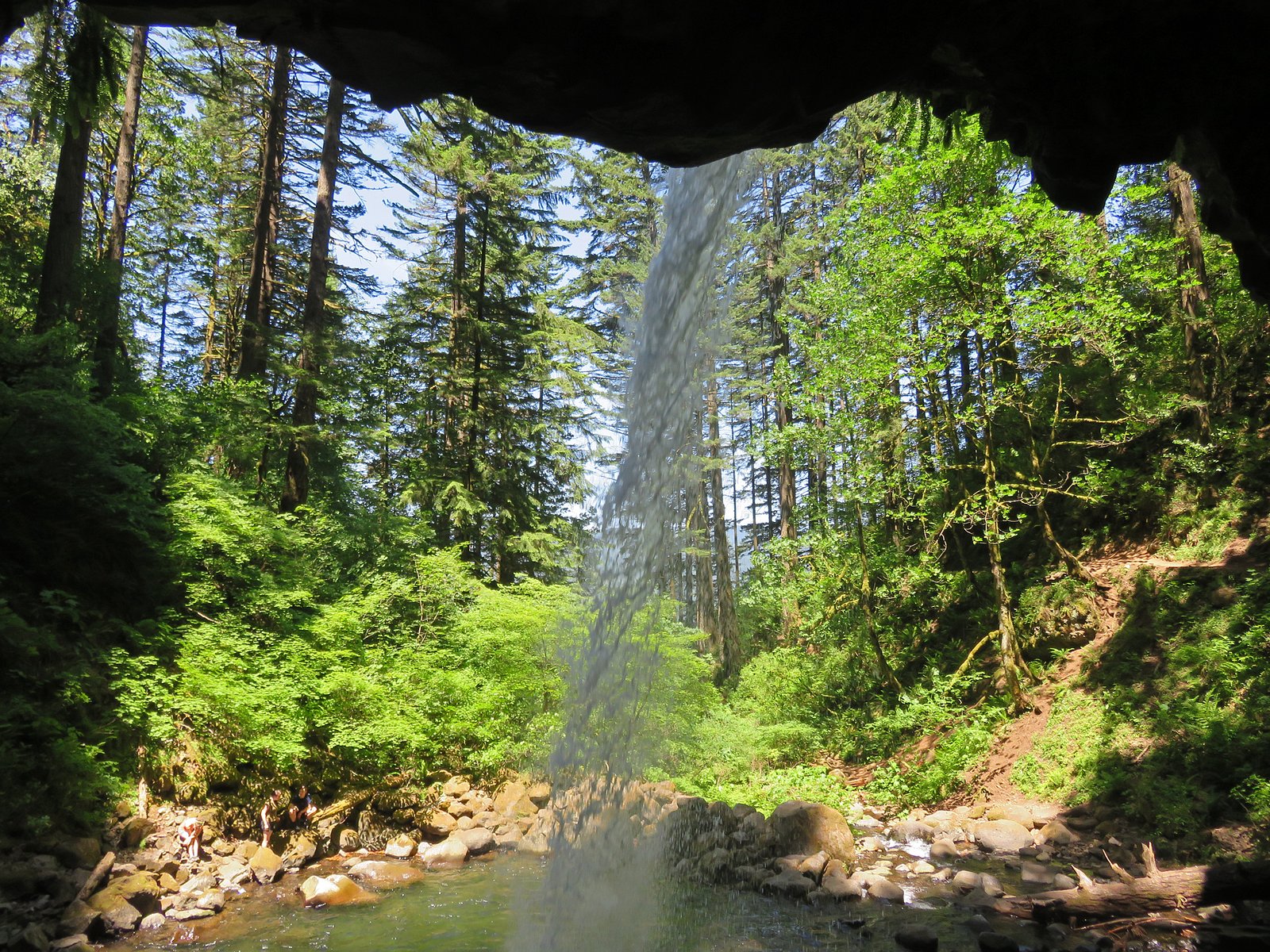 Ponytail Falls waterfall