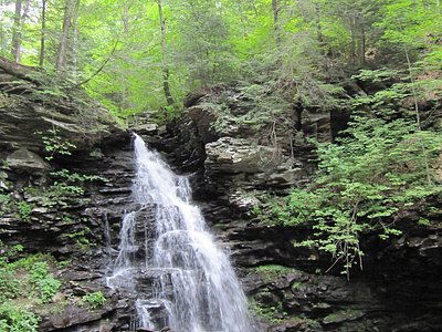 F L Ricketts Falls, PA