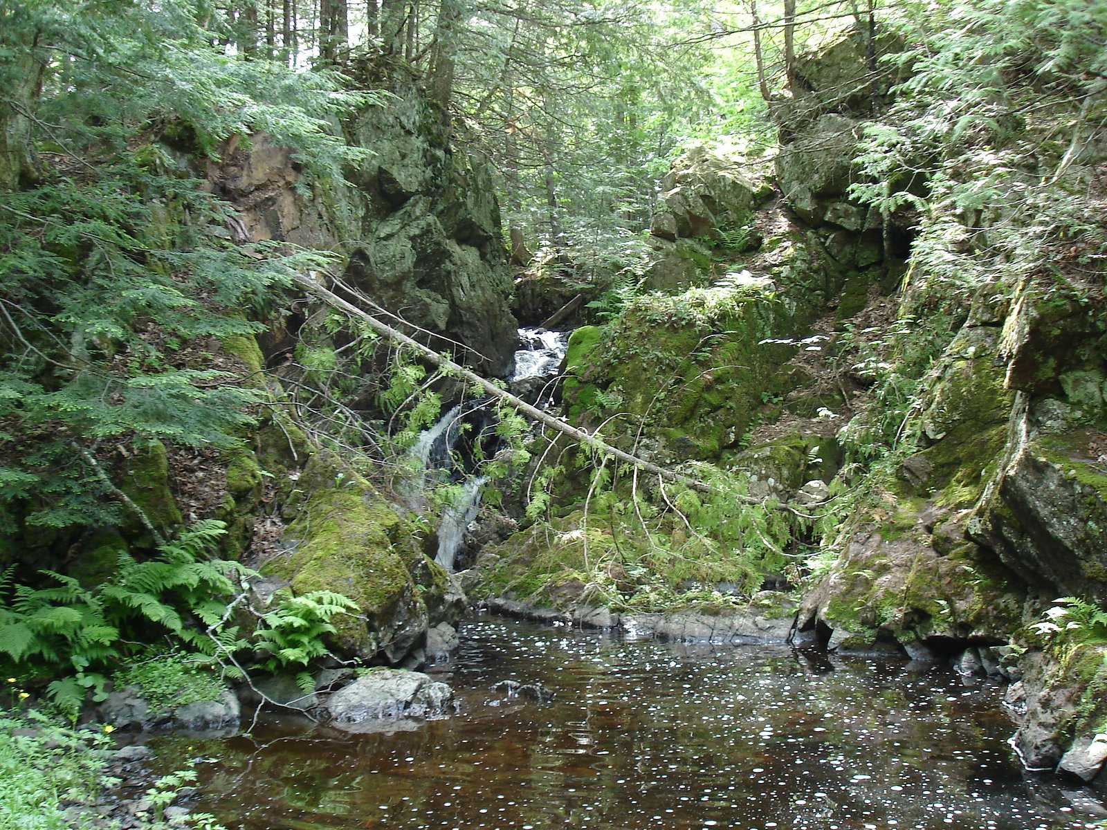 Rocky Forty Falls waterfall