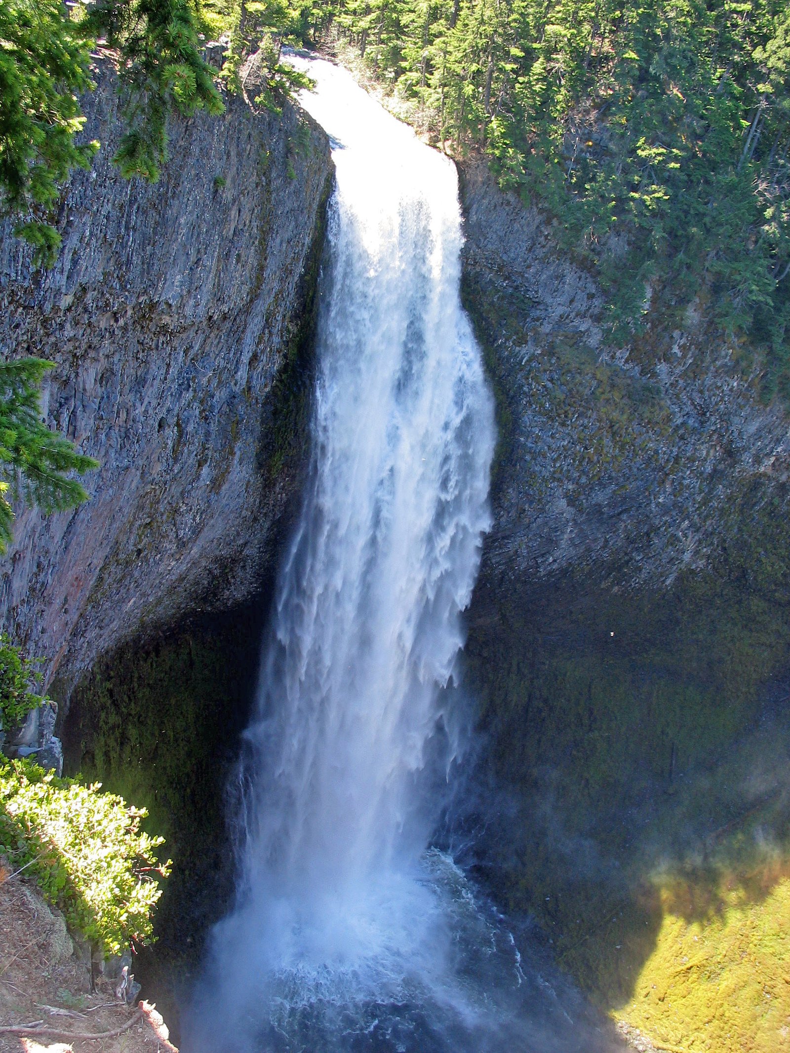 Salt Creek Falls waterfall