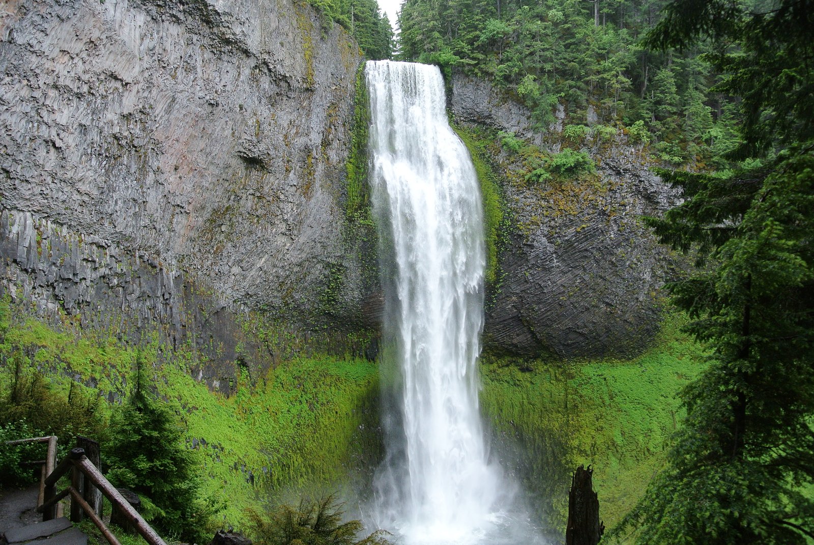 Salt Creek Falls waterfall