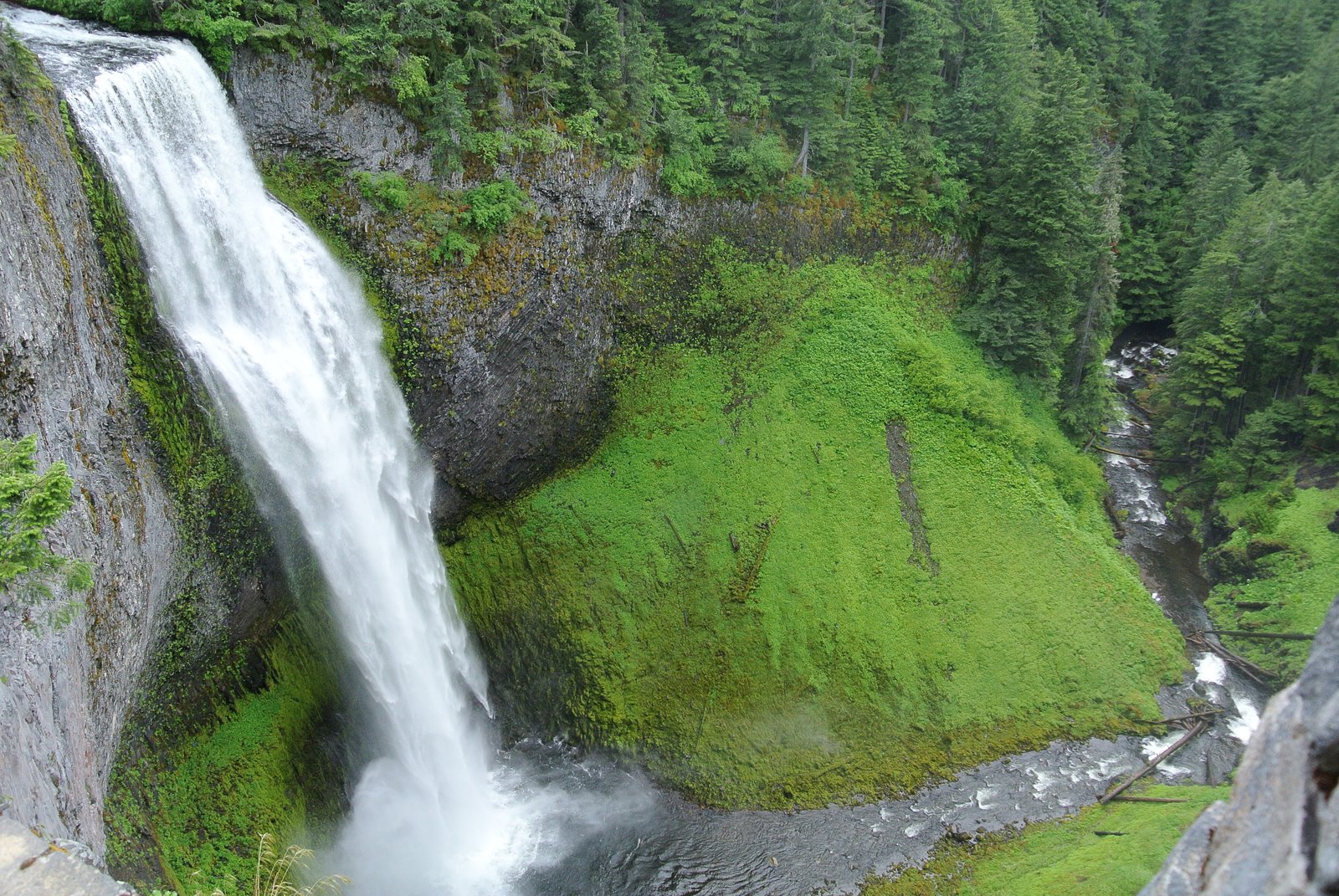 Salt Creek Falls waterfall