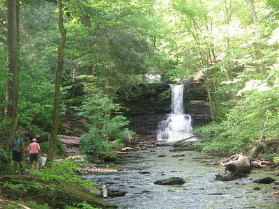 Sheldon Reynolds Falls, PA