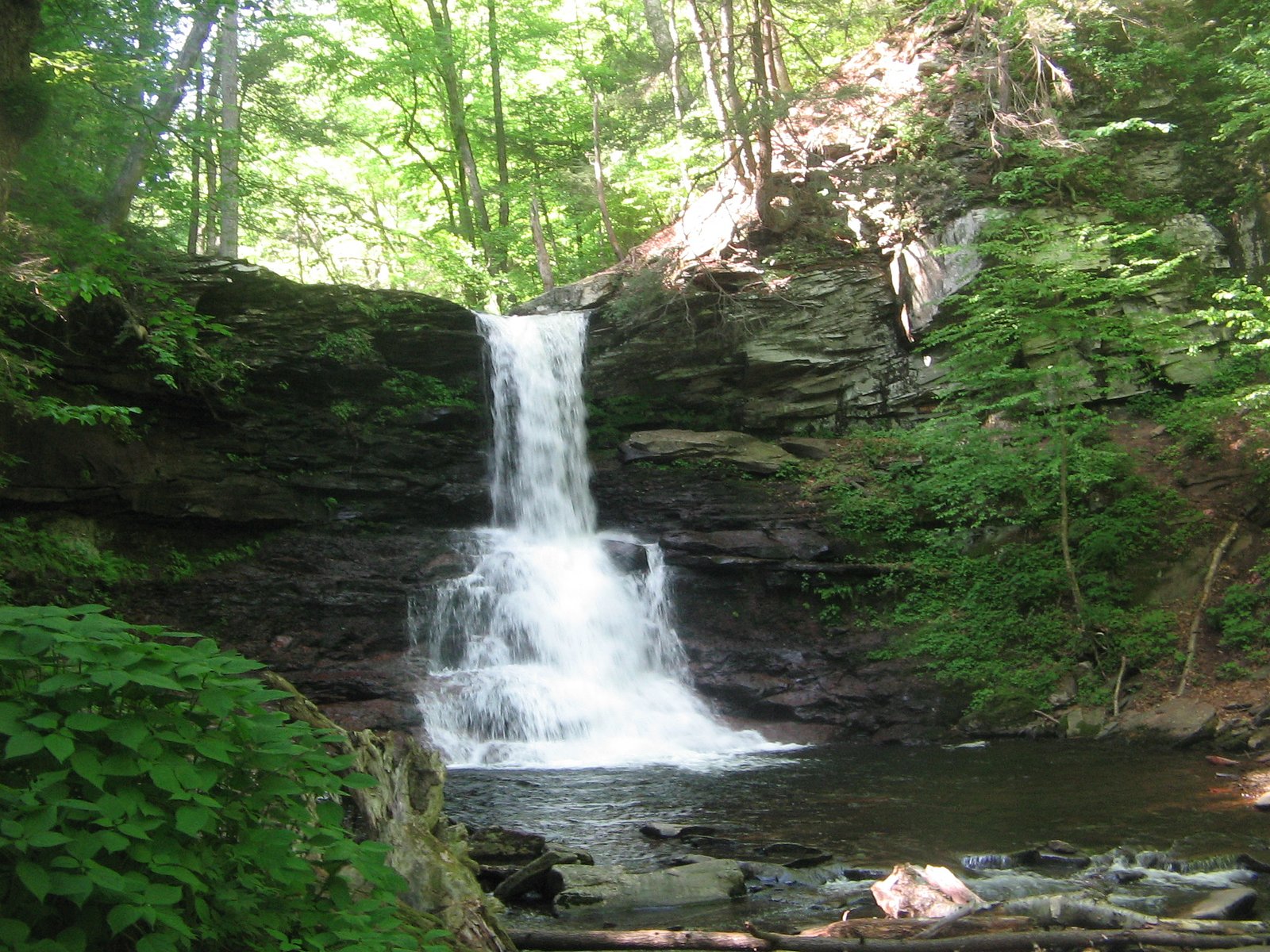 Sheldon Reynolds Falls waterfall