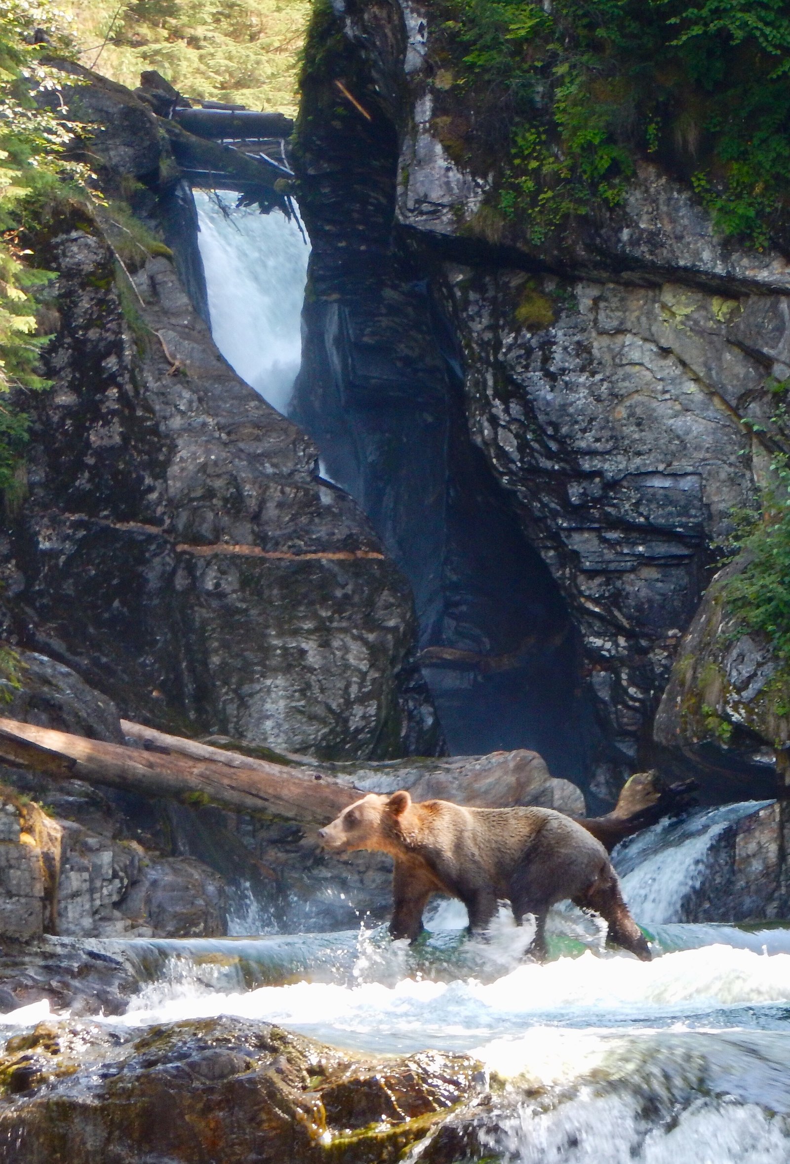 Sweetheart Falls waterfall