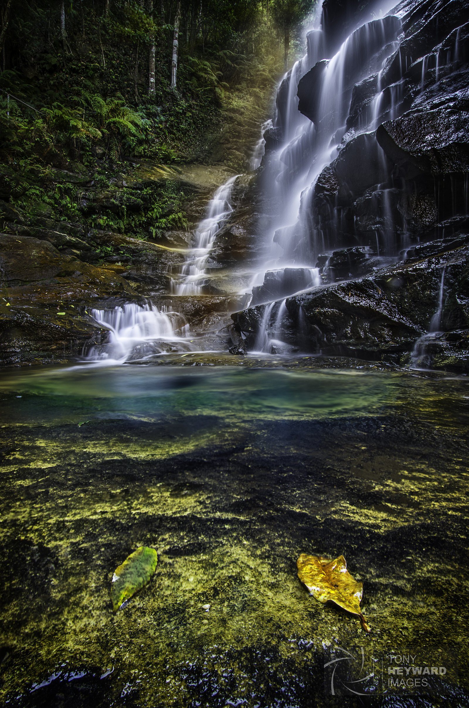 Sylvia Falls waterfall