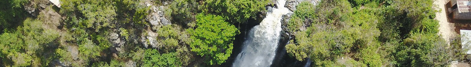 Thompson Falls waterfall