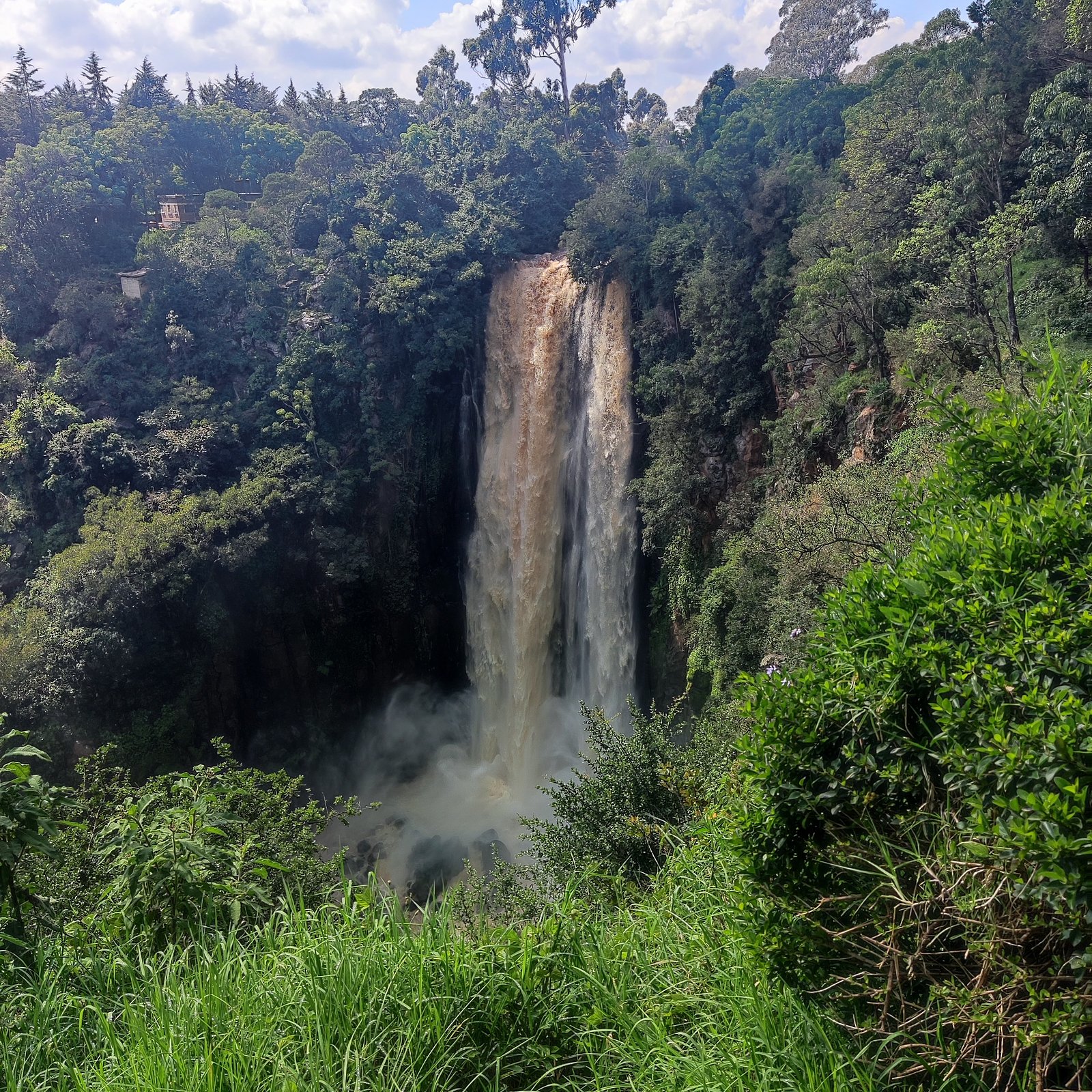 Thompson Falls waterfall