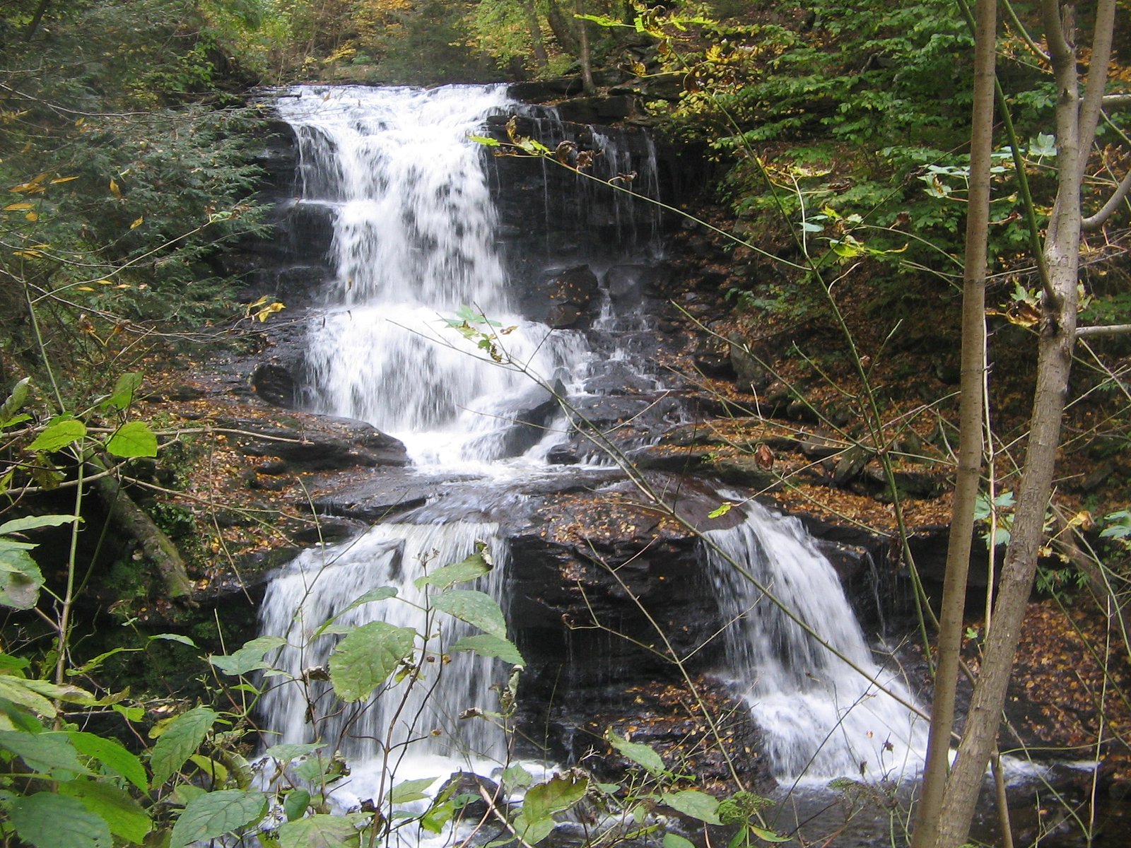 Tuscarora Falls waterfall