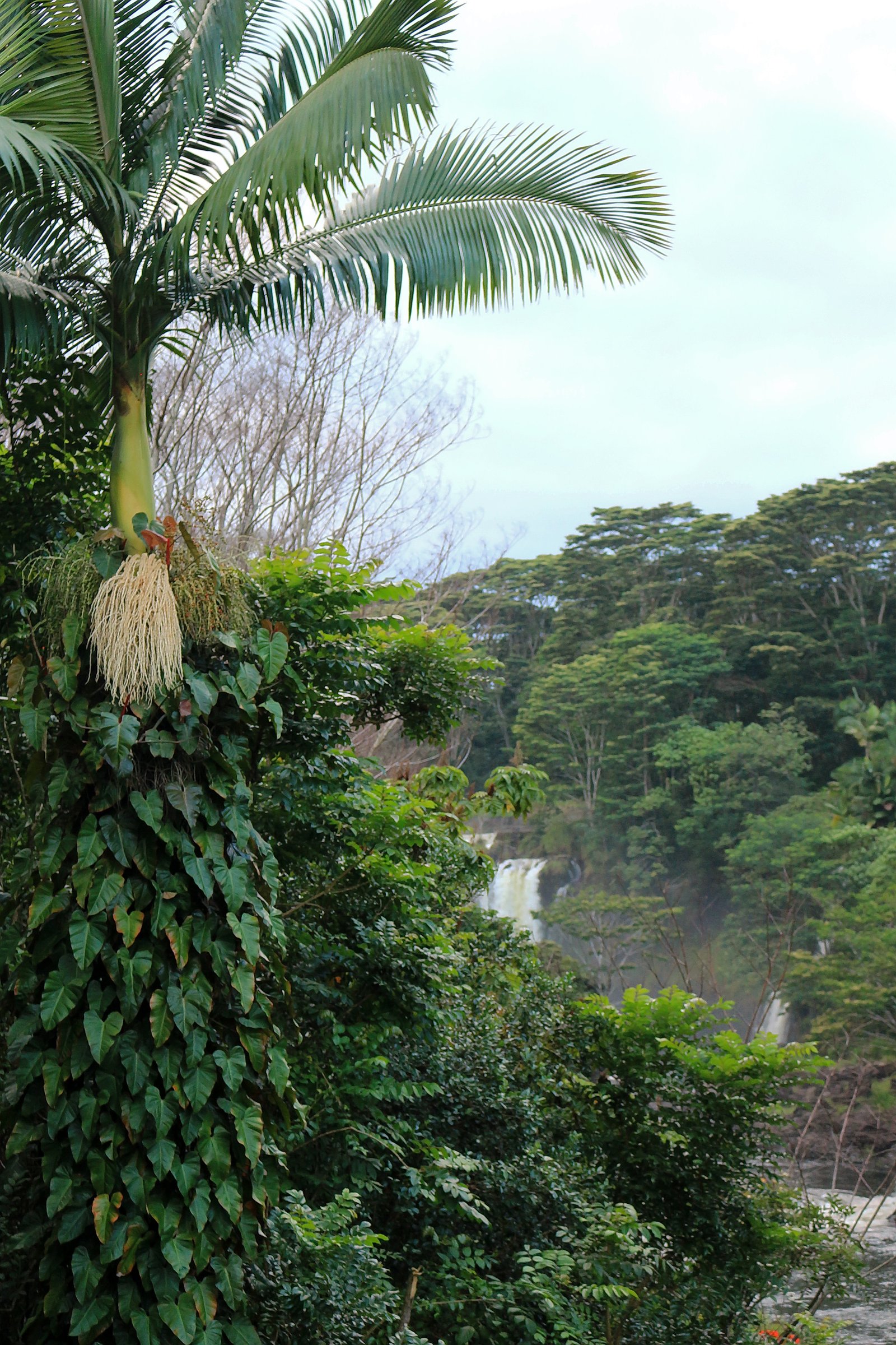 Waiale Falls waterfall