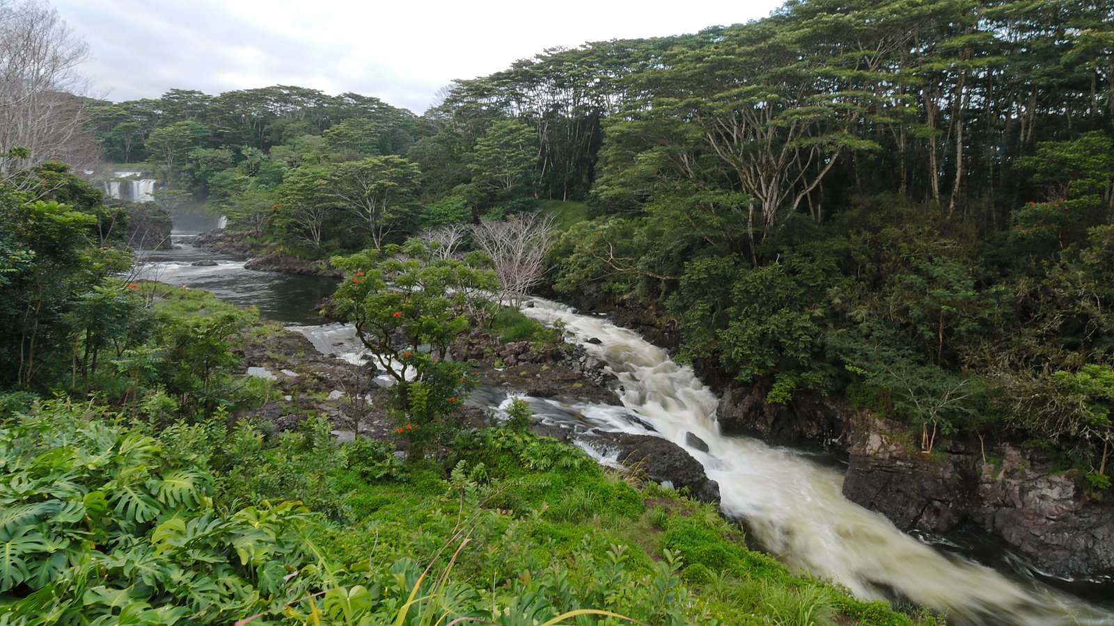 Waiale Falls waterfall