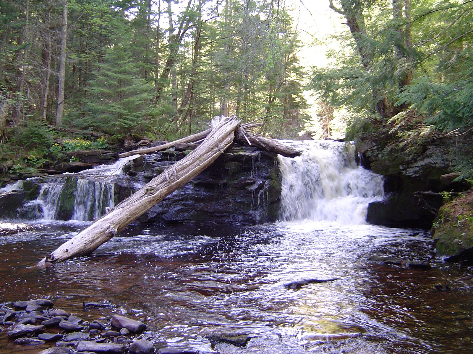 Hogger Falls waterfall