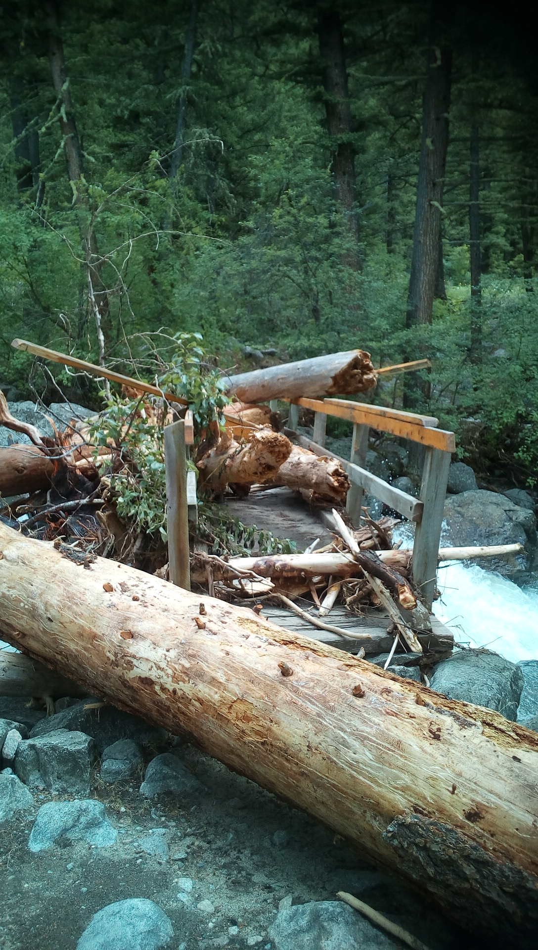 Woodbine Falls waterfall