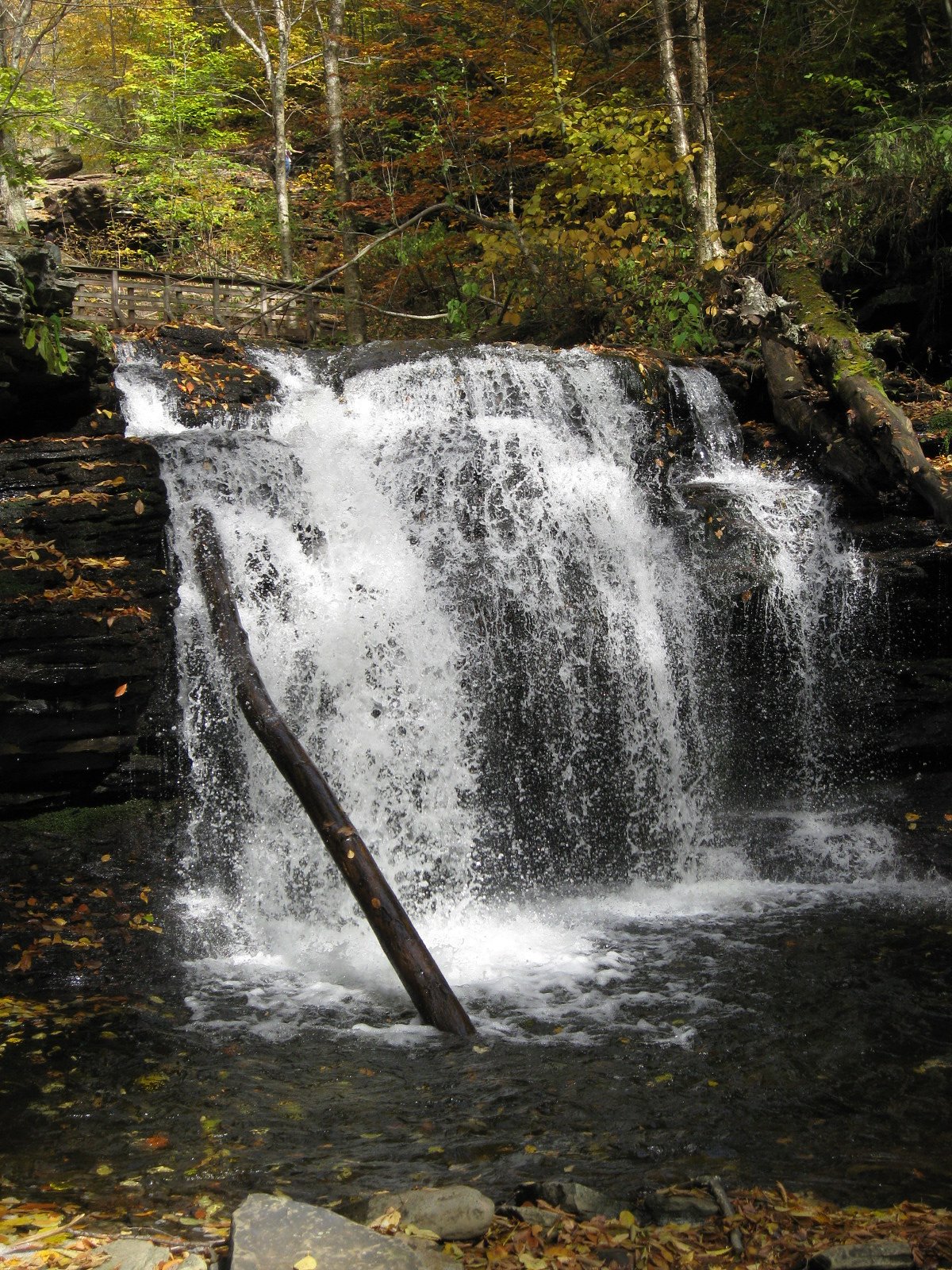 Wyandot Falls waterfall