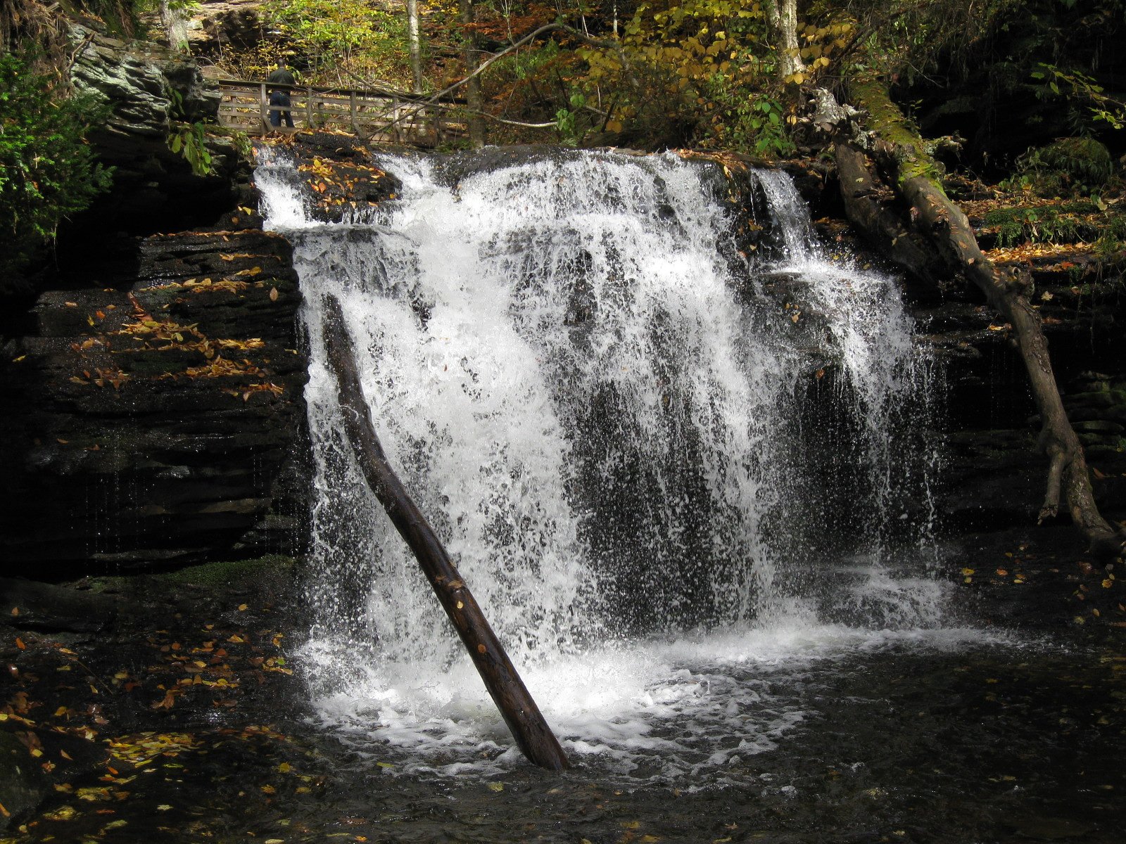 Wyandot Falls waterfall